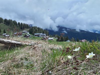 Emberger Alm