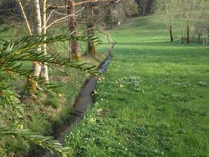 18805889-Ferienwohnung-2-Bergen / Chiemgau-300x225-5