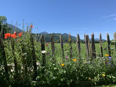 Blick zu Hochplatte und Kampenwand