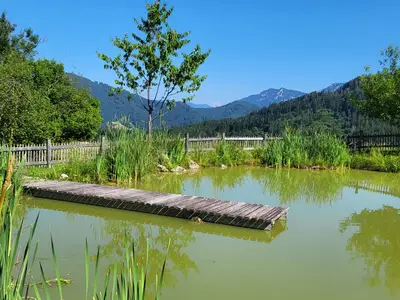 Natur pur