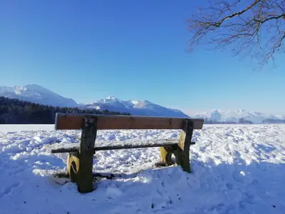 Winter auf der Bank im Bergener Moos