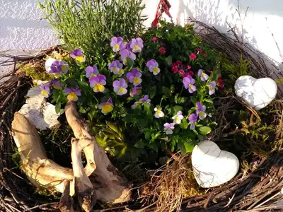 Frühling