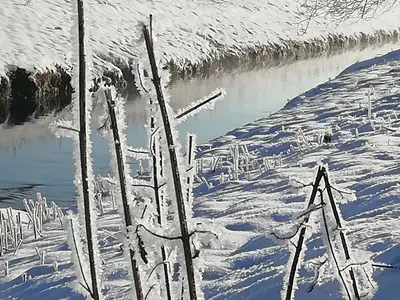 Winter im Bergener Moos