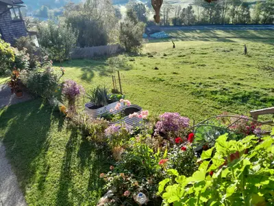 Blick in den Garten