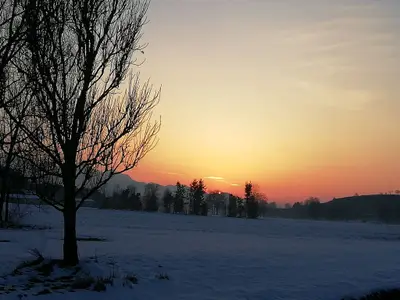 Sonnenuntergang Bergener Moos