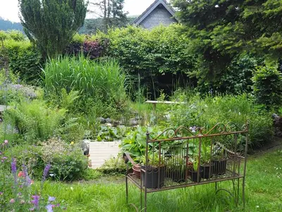 Ferienwohnung für 2 Personen (57 m²) in Bergneustadt 2/10