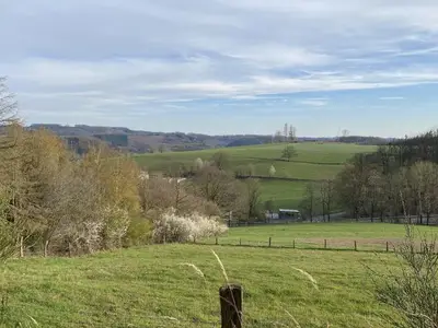 Ferienwohnung für 2 Personen (57 m²) in Bergneustadt 5/10