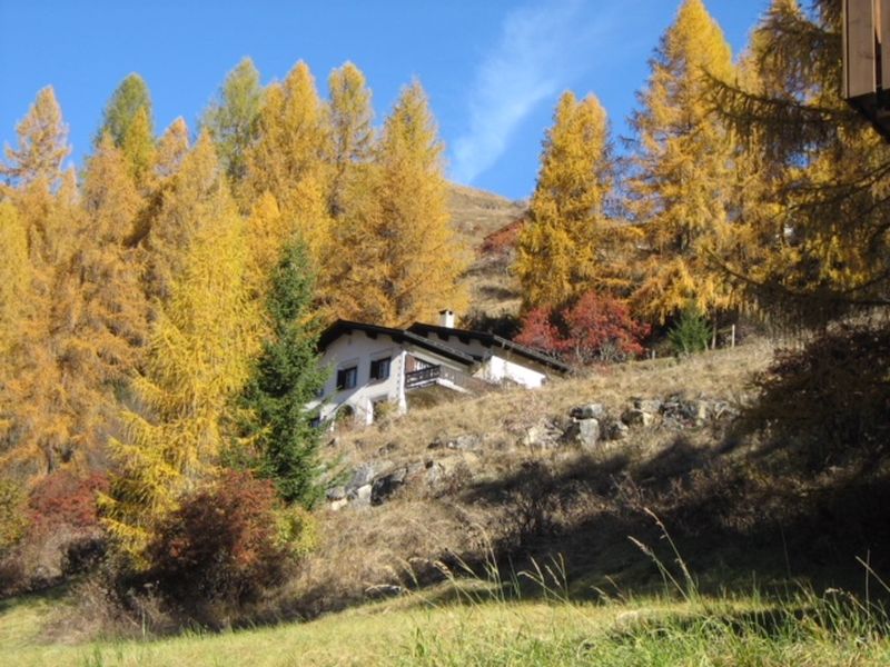 20395801-Ferienwohnung-9-Bergün/Bravuogn-800x600-2