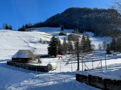 Ferienwohnung für 4 Personen in Bergün/Bravuogn 4/10
