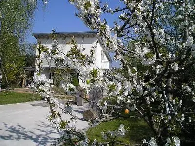 Außenansicht des Gebäudes. Das Haus im Frühling mit Studio  im Obergeschoss