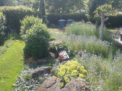 Wilde Bienen- und Schmetterlingswiesen in der Parkanlage