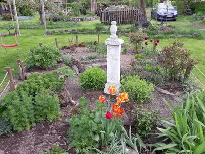 Frühling im Rosengarten