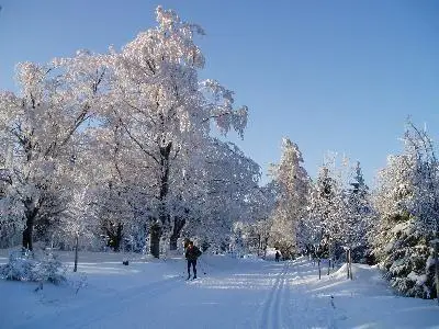 auf der Strecke nach Oberhof
