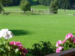 19306528-Ferienwohnung-2-Bernau am Chiemsee-300x225-4