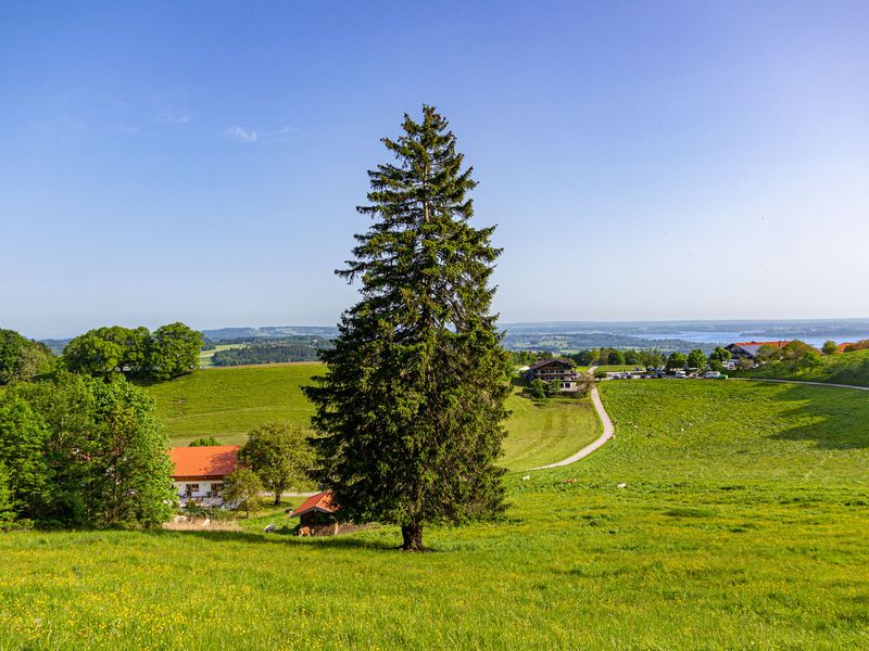 24014983-Ferienwohnung-6-Bernau am Chiemsee-800x600-1