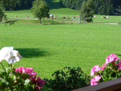 Aussicht