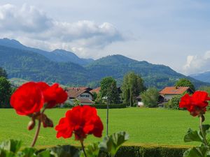 24027284-Ferienwohnung-5-Bernau am Chiemsee-300x225-2