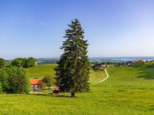 24014982-Ferienwohnung-4-Bernau am Chiemsee-300x225-1