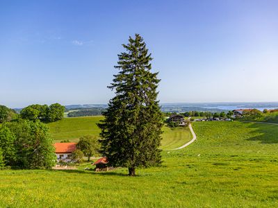 Ferienwohnungen Wieserhof