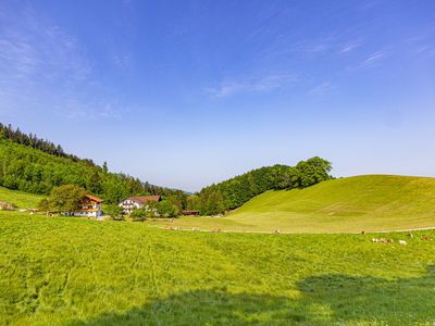 Ferienwohnungen Wieserhof