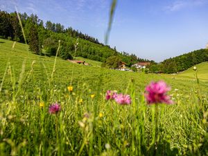 24014983-Ferienwohnung-6-Bernau am Chiemsee-300x225-5