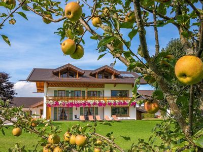 Ferienwohnung für 2 Personen (31 m²) in Bernau am Chiemsee 2/8