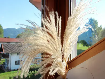 Herrlicher Ausblick