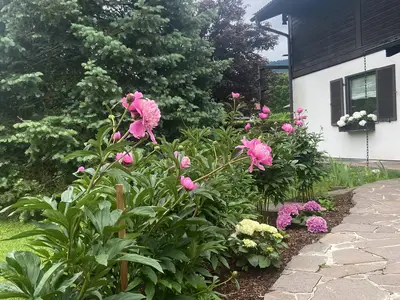 Haus Eingang