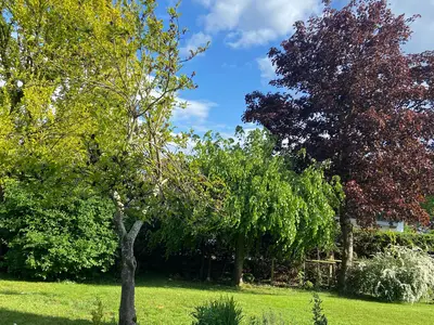 Der Garten