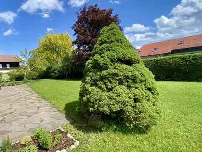 Der Garten
