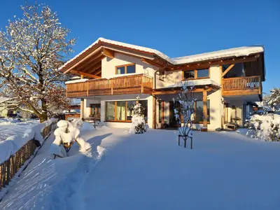 WolKe8 im Winter