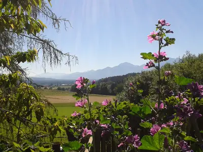 Blick vom Gartenzaun