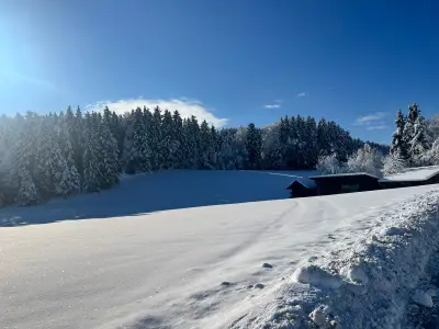 Schneelandschaft