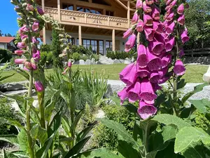 Ferienwohnung für 6 Personen (80 m²) in Bernau am Chiemsee