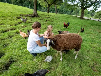 Hühner und Schafe zum Füttern und lieb haben