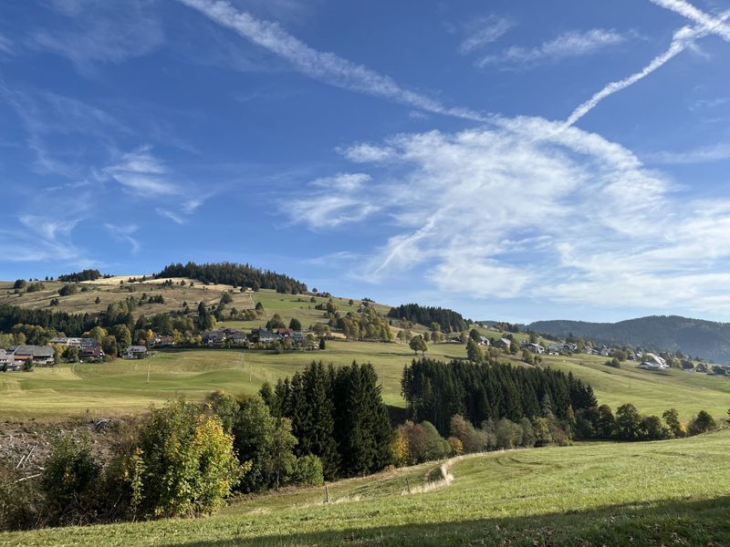 23847409-Ferienwohnung-5-Bernau (Waldshut)-800x600-2