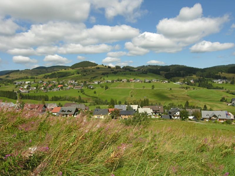 19254151-Ferienwohnung-4-Bernau (Waldshut)-800x600-2