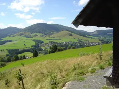 Ferienwohnung für 4 Personen (43 m²) in Bernau (Waldshut) 4/10