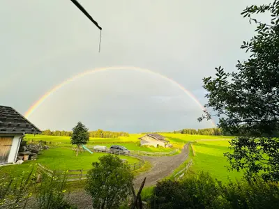 Ferienwohnung für 6 Personen (75 m²) in Bernbeuren 9/10