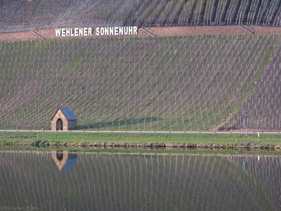 Wehlener Sonnenuhr und die Weinberge