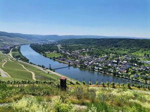 23873835-Ferienwohnung-2-Bernkastel-Kues-300x225-4