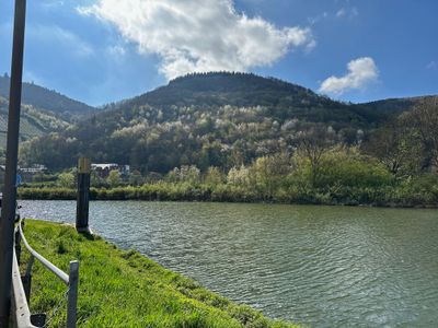 Ferienwohnung für 2 Personen (46 m²) in Bernkastel-Kues 5/10