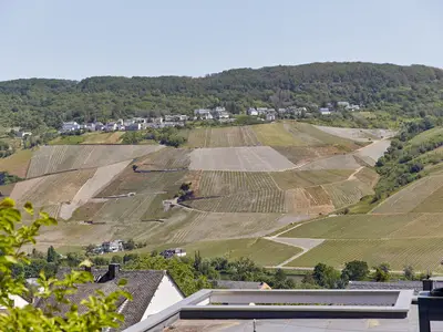 Ferienwohnung für 2 Personen (60 m²) in Bernkastel-Kues 6/10