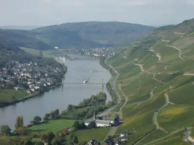 Riesling-Steillagen