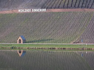 Wehlener Sonnenuhr und die Weinberge