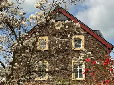 Ferienwohnung für 10 Personen (120 m²) in Bernkastel-Kues 1/10