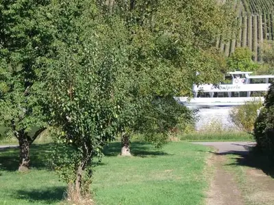 Ferienwohnung für 4 Personen (95 m²) in Bernkastel-Kues 10/10