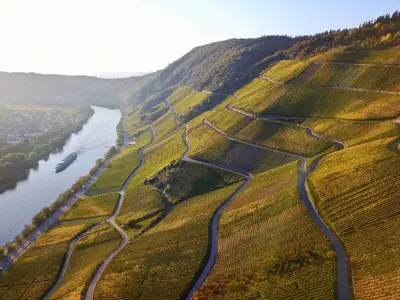 Ferienwohnung für 4 Personen (100 m²) in Bernkastel-Kues 6/10