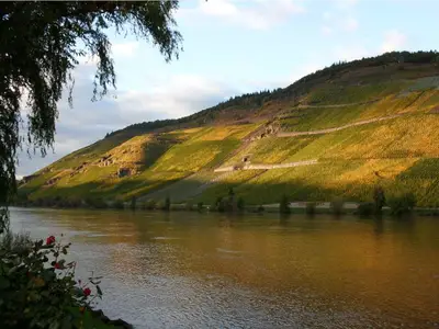 Ferienwohnung für 4 Personen (100 m²) in Bernkastel-Kues 7/10