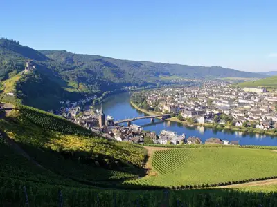 Ferienwohnung für 4 Personen (100 m²) in Bernkastel-Kues 8/10